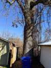 IMG_20190204_143043-02.jpg