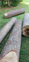 20200717_174526.jpg 20200717_174526.jpg