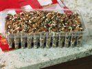 1 walnuts - 1.jpg 1 walnuts - 1.jpg