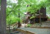 House before Grass.JPG House before Grass.JPG