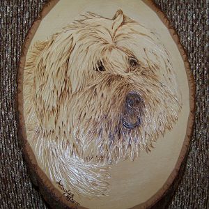 Some Pyrography