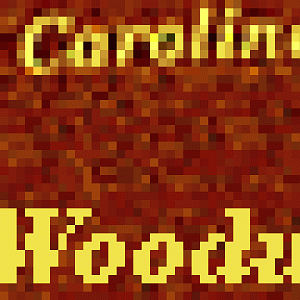 Small version of the logo