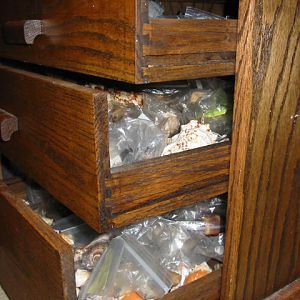 Shell Case Drawers