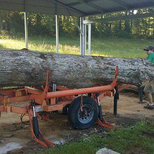 getting one of the logs in position on the mill