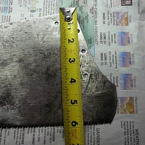 Old Saw rehab