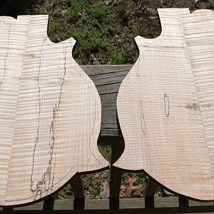 Top and Bottom plates glued and rough shaped