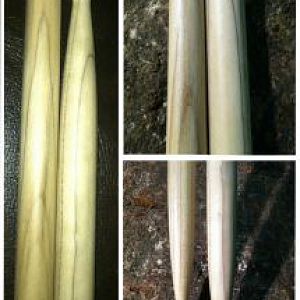 Magnolia Drumsticks