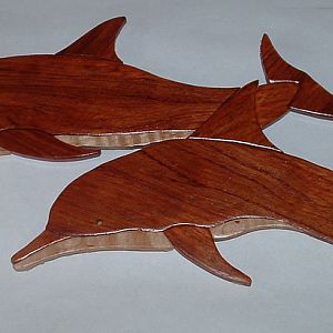 Dolphin Intarsia