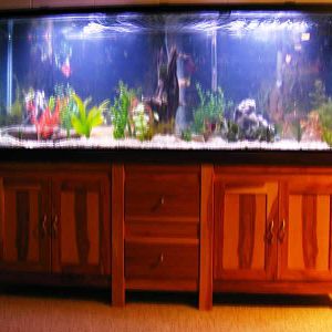 New Aquarium Stand