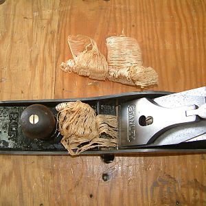 Nice wispy oak shavings