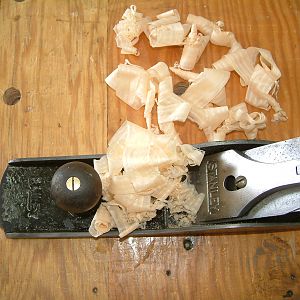 See through shavings from a piece of pine