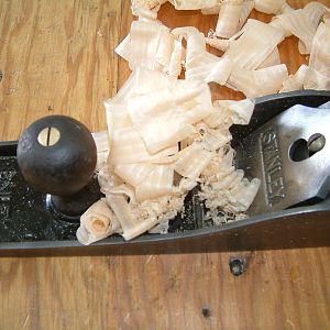 See through shavings from a piece of pine