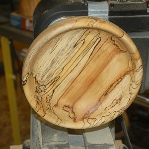 Spalted Bowl