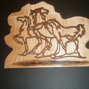 Wild horses
