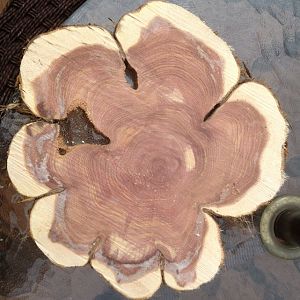 cedar trivet