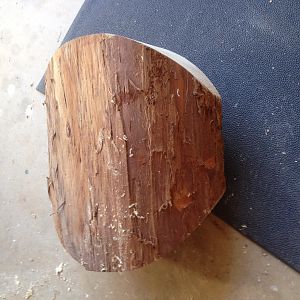 Unknown wood