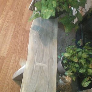 walnut_bench_3