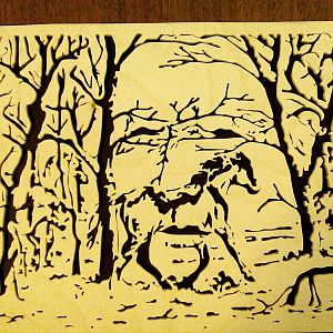 Faces in the woods