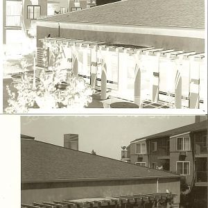 paper negative and postive from large format camera