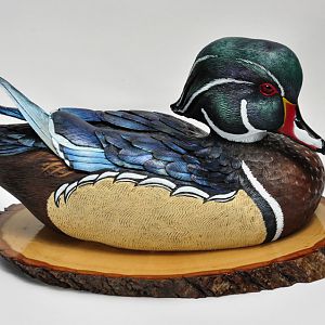 Wood Duck Drake Progress