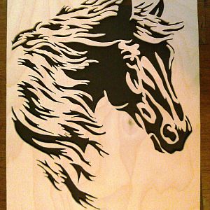 Horse Portrait