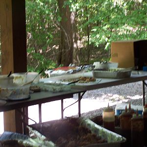 picnic 2015