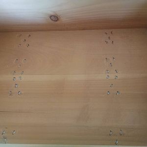 Book Box - Joiner and Cabinet Maker