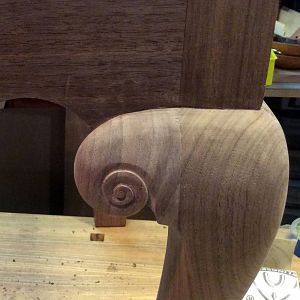 leg volutes