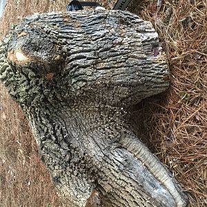 Burl3