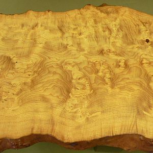Olive Ash Burl Coffee Table