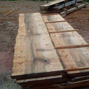 maple slabs