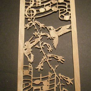 Hummingbird Melodies