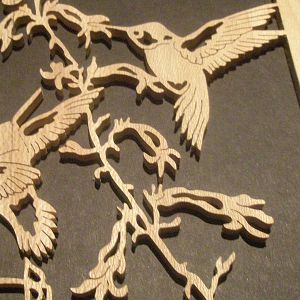 Close up of hummingbirds