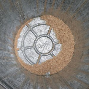 Trashcan Sawdust