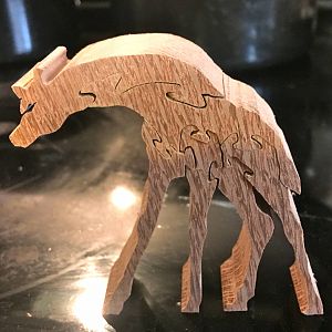 IMG_0848_2