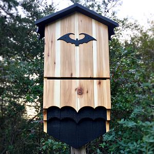 The Bat House