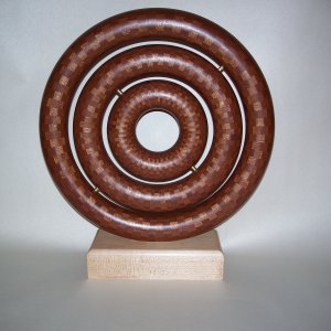 Triple Torus