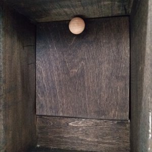 046_Knob in place on rear panel.jpg