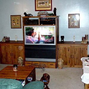 Old Entertainment Center