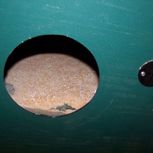 6'' Dust Port - 03 Tablesaw Install