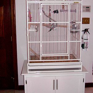 Bird cage cabinet - completed