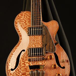 Apollo Artist Guitar
