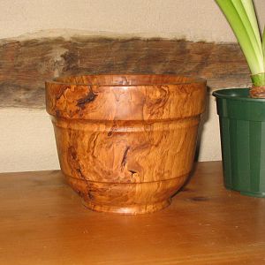 Oak Burl Bowl