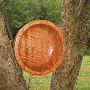 Curly Eucalyptus Bowl