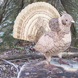 Ruffed Grouse