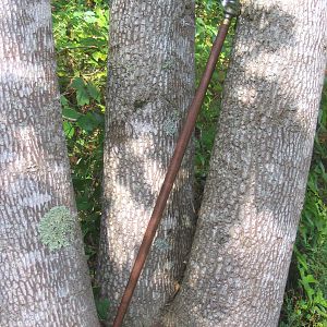 Dress Cane