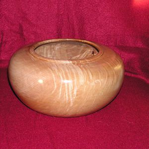 sycamore bowl
