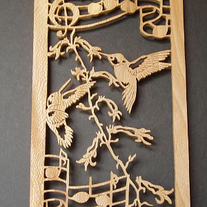 Hummingbird Melodies