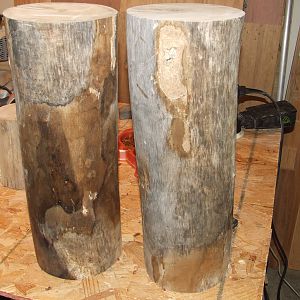 Maple Logs