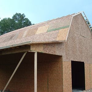 sheathing is completed, and a good look at the side shed (the post here is